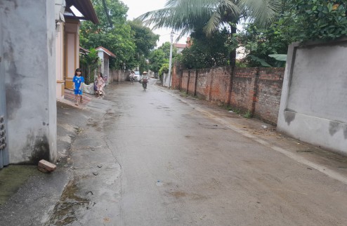 Bán gấp 110m2 MT6m đất Tam Đồng Mê Linh Hà Nội, đường ô tô tránh đối diện khu đất đấu giá.